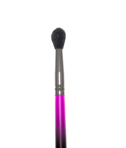 R20 Ultimate Blender Brush